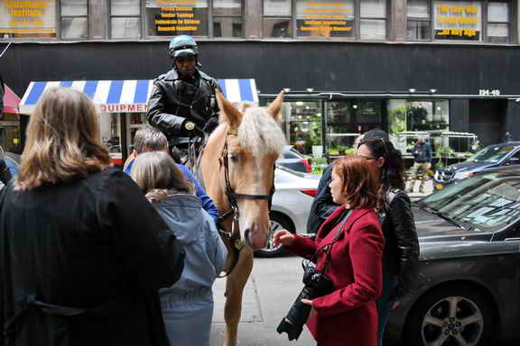 EFF17-11-17-19-17-2666-DDeRosaPhoto