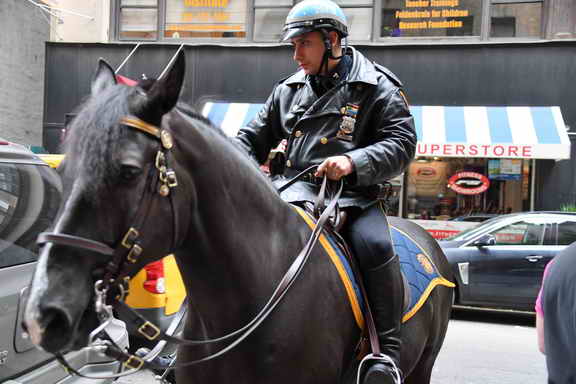 EFF17-11-17-19-17-2729-DDeRosaPhoto