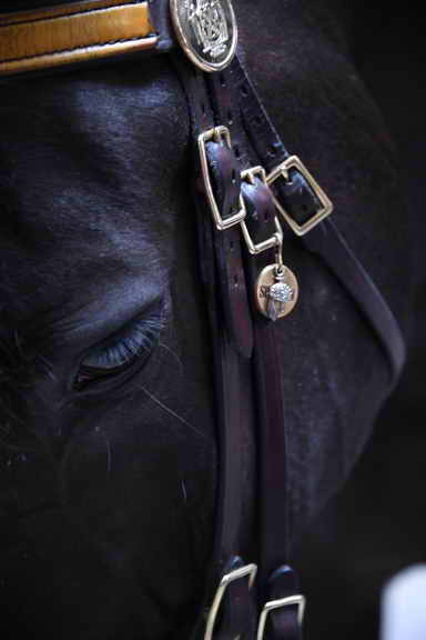 EFF17-11-17-19-17-2744-DDeRosaPhoto