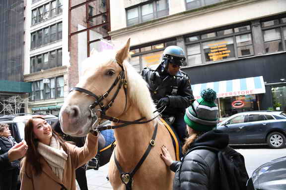 EFF17-11-17-19-17-2758-DDeRosaPhoto