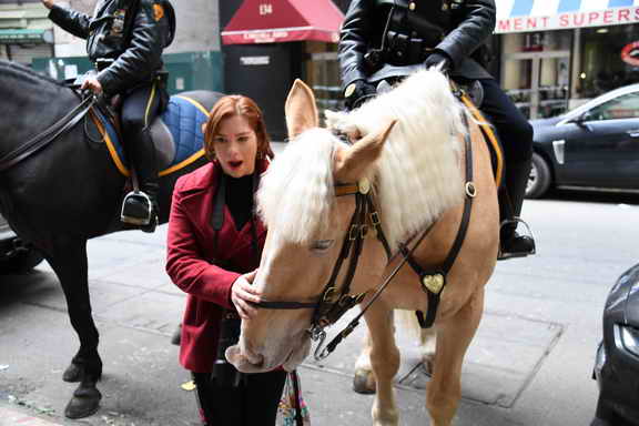 EFF17-11-17-19-17-2764-DDeRosaPhoto