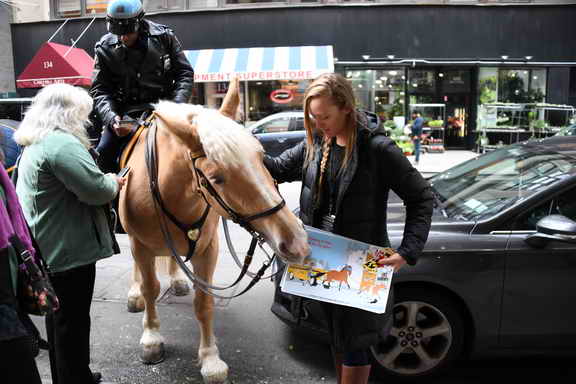 EFF17-11-17-19-17-2799-DDeRosaPhoto