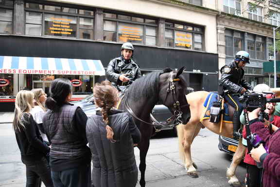 EFF17-11-17-19-17-2805-DDeRosaPhoto