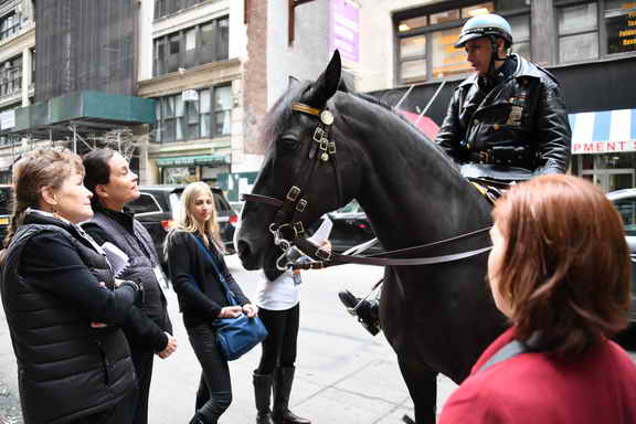 EFF17-11-17-19-17-2808-DDeRosaPhoto