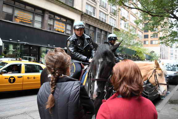 EFF17-11-17-19-17-2851-DDeRosaPhoto