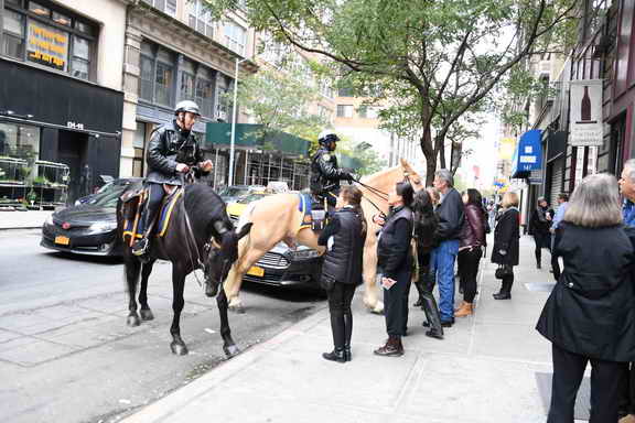 EFF17-11-17-19-17-2859-DDeRosaPhoto