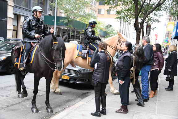 EFF17-11-17-19-17-2861-DDeRosaPhoto