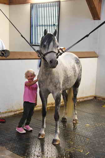 EFF-Canada-7-20-18-6109-DDeRosaPhoto