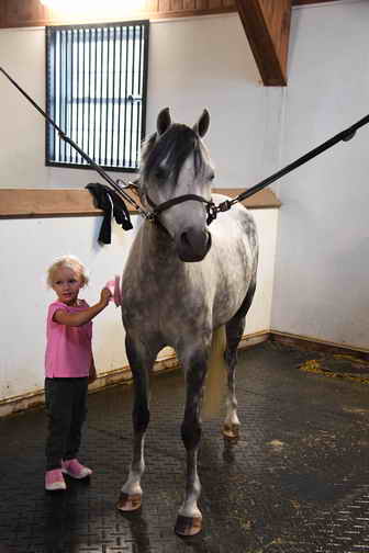 EFF-Canada-7-20-18-6111-DDeRosaPhoto