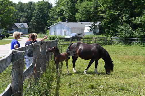 EFF-Canada-7-20-18-6142-DDeRosaPhoto