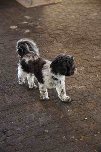 EFF-Canada-7-20-18-6164-DDeRosaPhoto