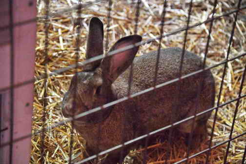 EFF-Canada-7-20-18-6168-DDeRosaPhoto