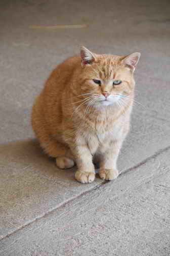 EFF-Canada-7-20-18-6177-DDeRosaPhoto