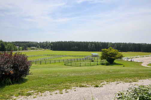 EFF-Canada-7-20-18-6183-DDeRosaPhoto