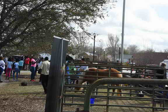 EFF-Camden-2-20-25-2017-3913-DDeRosaPhoto