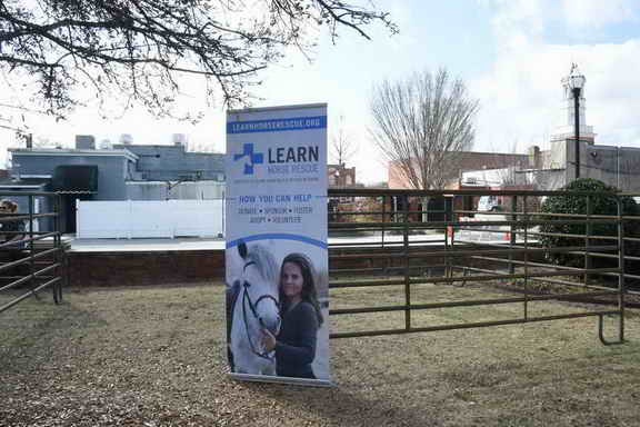 EFF-Camden-2-20-25-2017-3915-DDeRosaPhoto