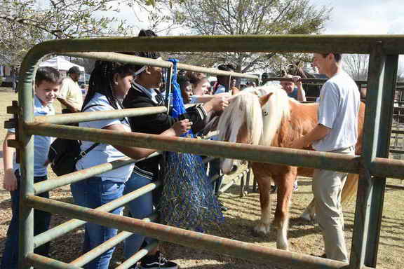 EFF-Camden-2-20-25-2017-3917-DDeRosaPhoto