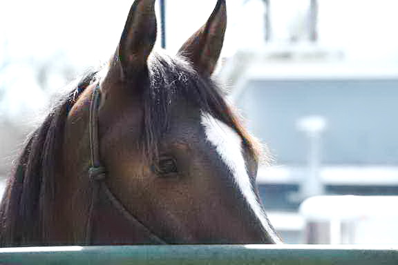 EFF-Camden-2-20-25-2017-4052-DDeRosaPhoto