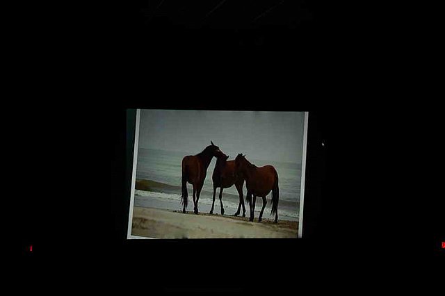 EFF-Camden-2-20-25-2017-4212-DDeRosaPhoto