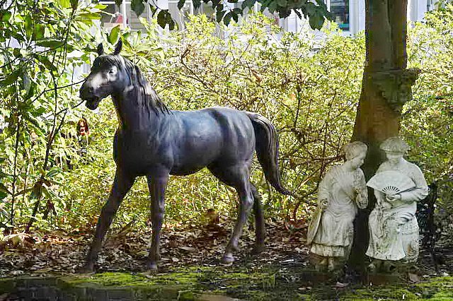 EFF-Camden-2-20-25-2017-3740-DDeRosaPhoto