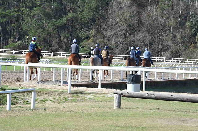 EFF-Camden-2-20-25-2017-3747-DDeRosaPhoto