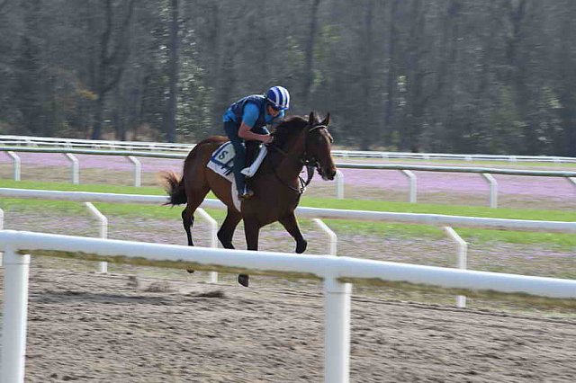 EFF-Camden-2-20-25-2017-3764-DDeRosaPhoto