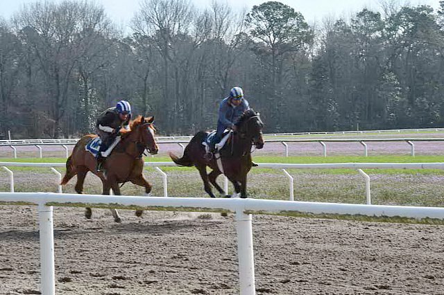 EFF-Camden-2-20-25-2017-3767-DDeRosaPhoto