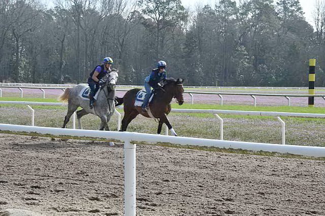 EFF-Camden-2-20-25-2017-3774-DDeRosaPhoto