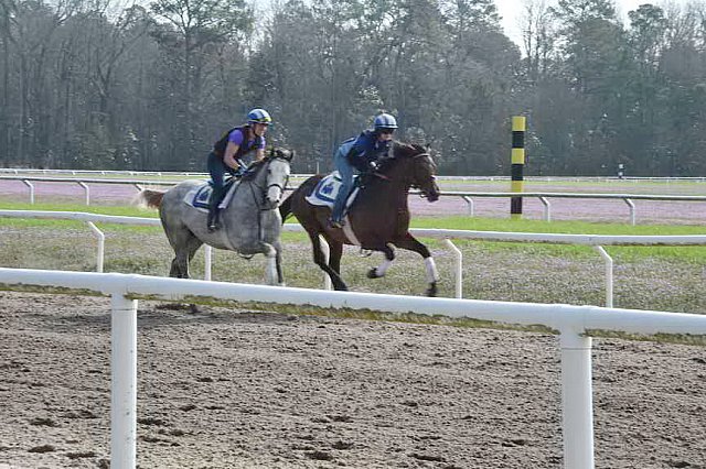 EFF-Camden-2-20-25-2017-3777-DDeRosaPhoto