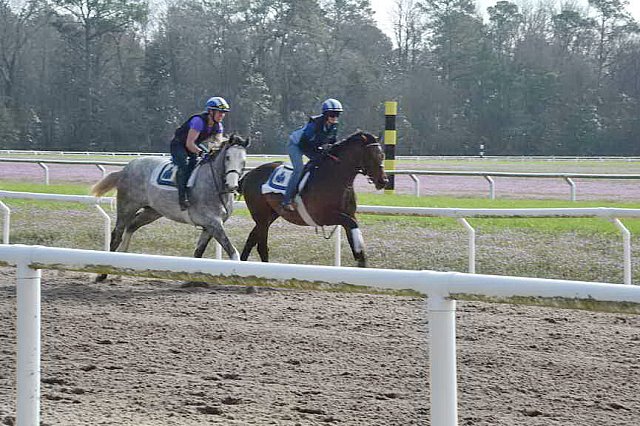 EFF-Camden-2-20-25-2017-3778-DDeRosaPhoto