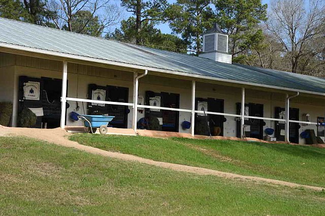 EFF-Camden-2-20-25-2017-3779-DDeRosaPhoto