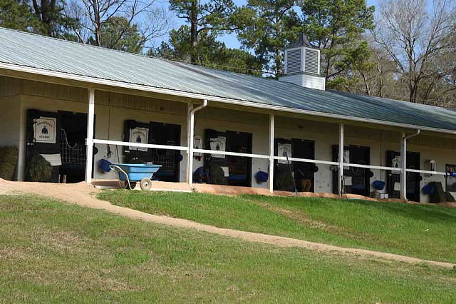 EFF-Camden-2-20-25-2017-3780-DDeRosaPhoto