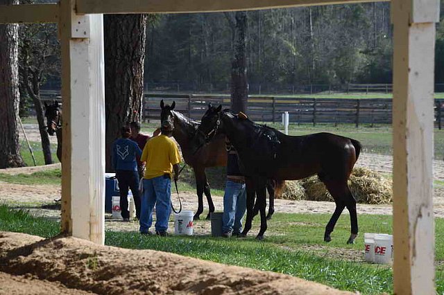 EFF-Camden-2-20-25-2017-3782-DDeRosaPhoto