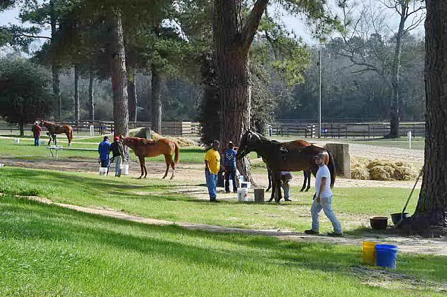 EFF-Camden-2-20-25-2017-3783-DDeRosaPhoto