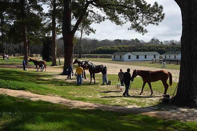 EFF-Camden-2-20-25-2017-3785-DDeRosaPhoto
