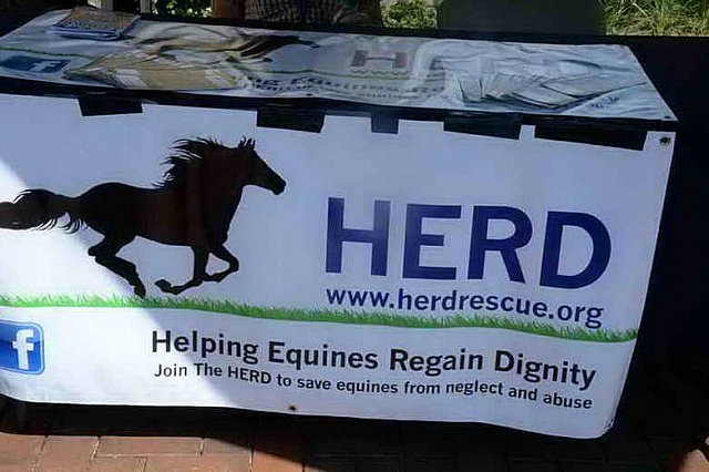 EFF-Tryon-10-7-18-2731-DDeRosaPhoto