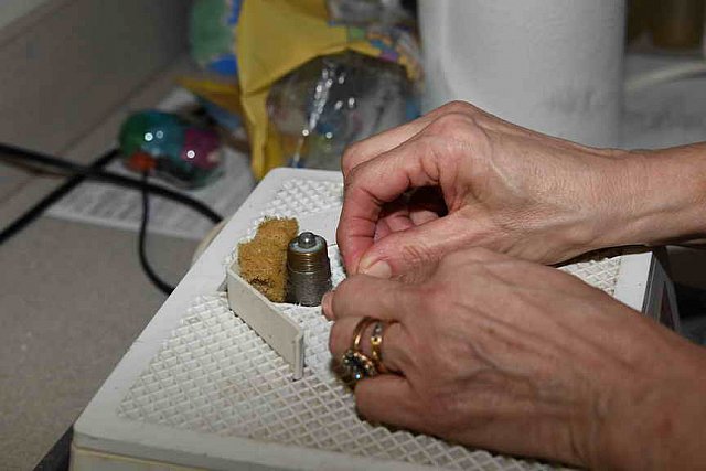 EFF-Camden-2-18-19-2039-Painting-DDeRosaPhoto