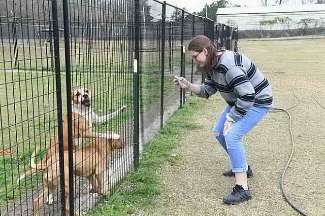 EFF-Camden-2-19-19-2109-Rescue-DDeRosaPhoto