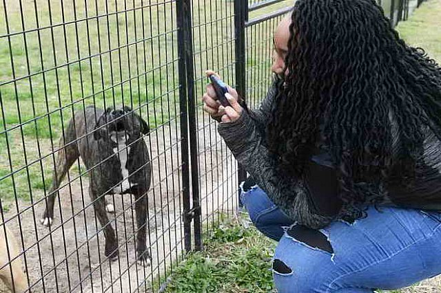 EFF-Camden-2-19-19-2139-Rescue-DDeRosaPhoto