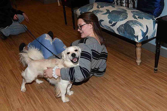 EFF-Camden-2-19-19-2144-Rescue-DDeRosaPhoto