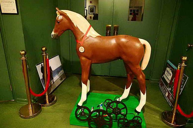 EFF-Camden-2-21-19-4098-DDeRosaPhoto