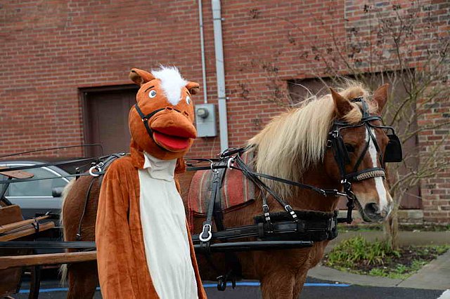 EFF-Camden-2-23-19-6992-Camy-DDeRosaPhoto