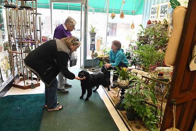 EFF-PA-4-12-19-4487-DDeRosaPhoto