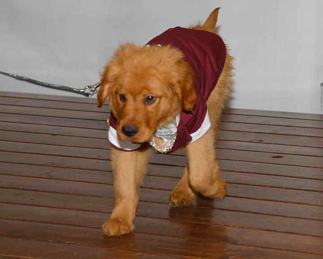 EFF-PA-4-12-19-4592-DDeRosaPhoto