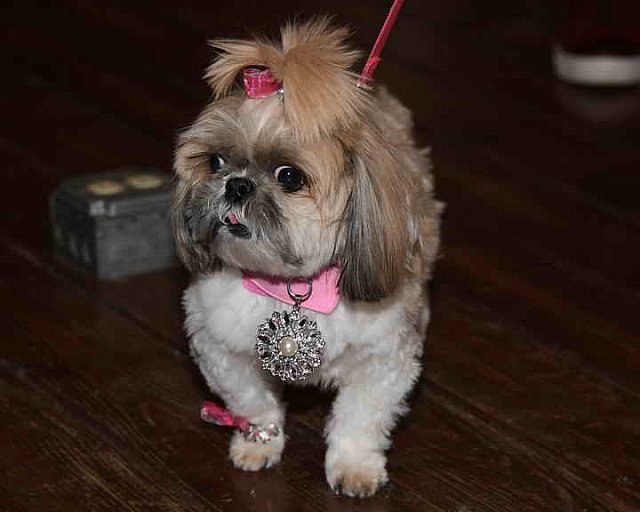 EFF-PA-4-12-19-4596-DDeRosaPhoto