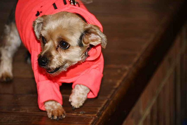 EFF-PA-4-12-19-4615-DDeRosaPhoto