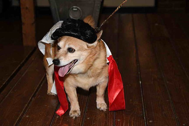 EFF-PA-4-12-19-4628-DDeRosaPhoto