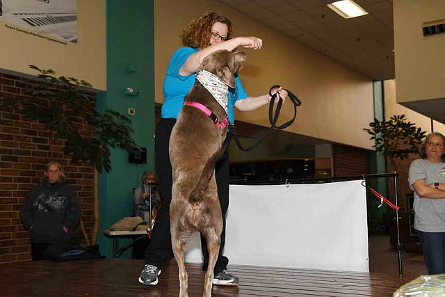 EFF-PA-4-12-19-4635-DDeRosaPhoto