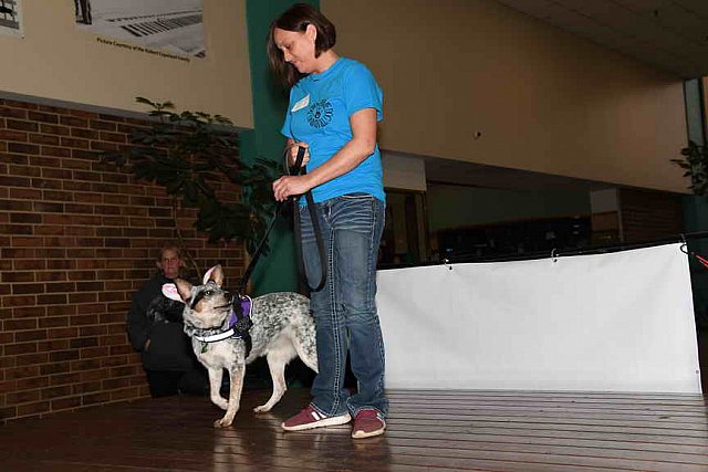 EFF-PA-4-12-19-4641-DDeRosaPhoto