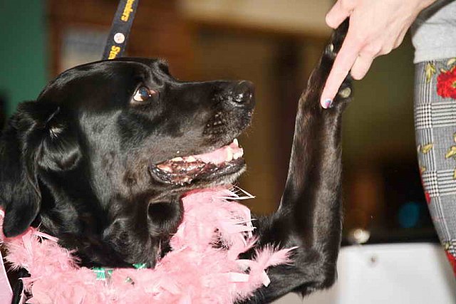 EFF-PA-4-12-19-4649-DDeRosaPhoto